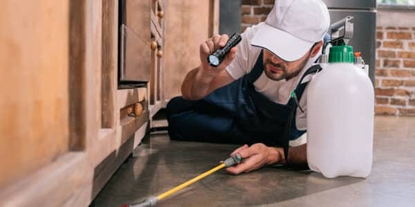 Professinal Commercial Pest Control Services at Pest Control Pro