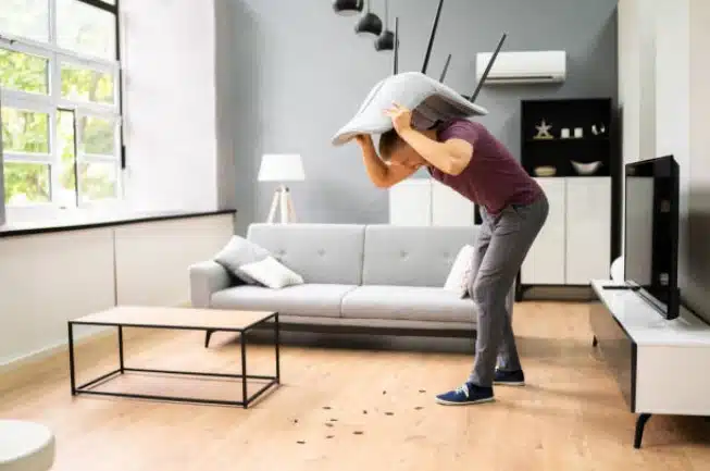 residential pest control