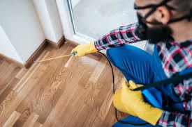 Retail and Hospitality Pest Control at Pest Control Pro