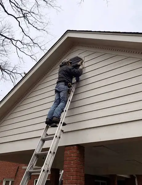 Wasp Nest Removal