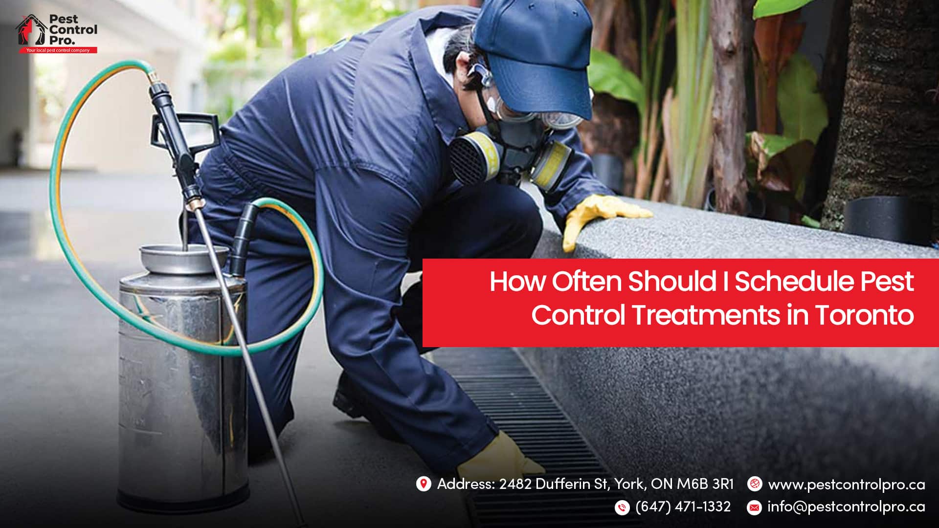 Pest Control Treatments Toronto