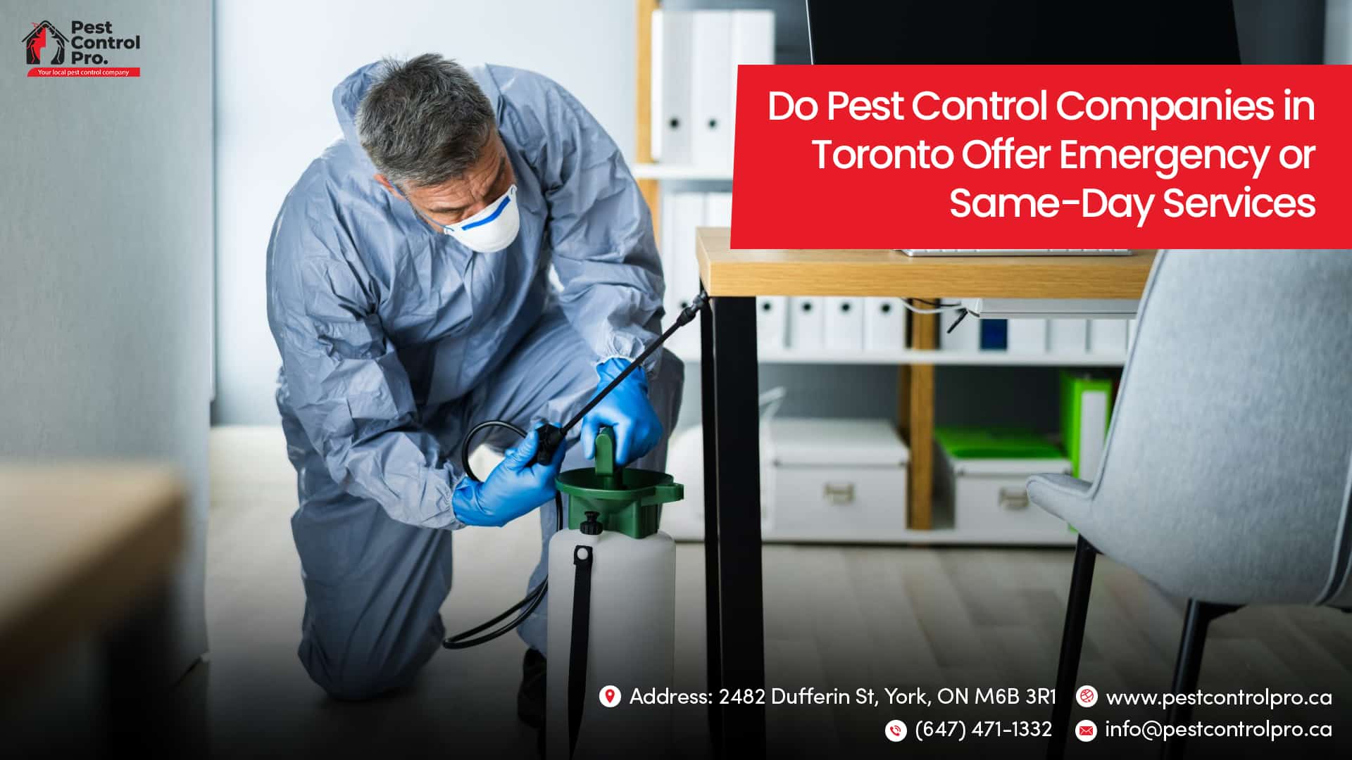 Emergency Pest Control Toronto