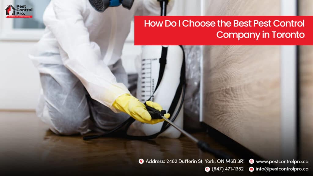 Best Pest Control Company in Toronto