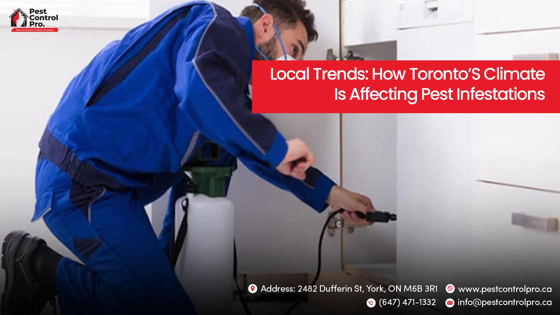 Climate Change and Pest Infestations Toronto