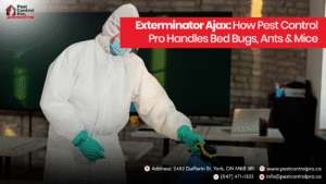 Exterminator Ajax