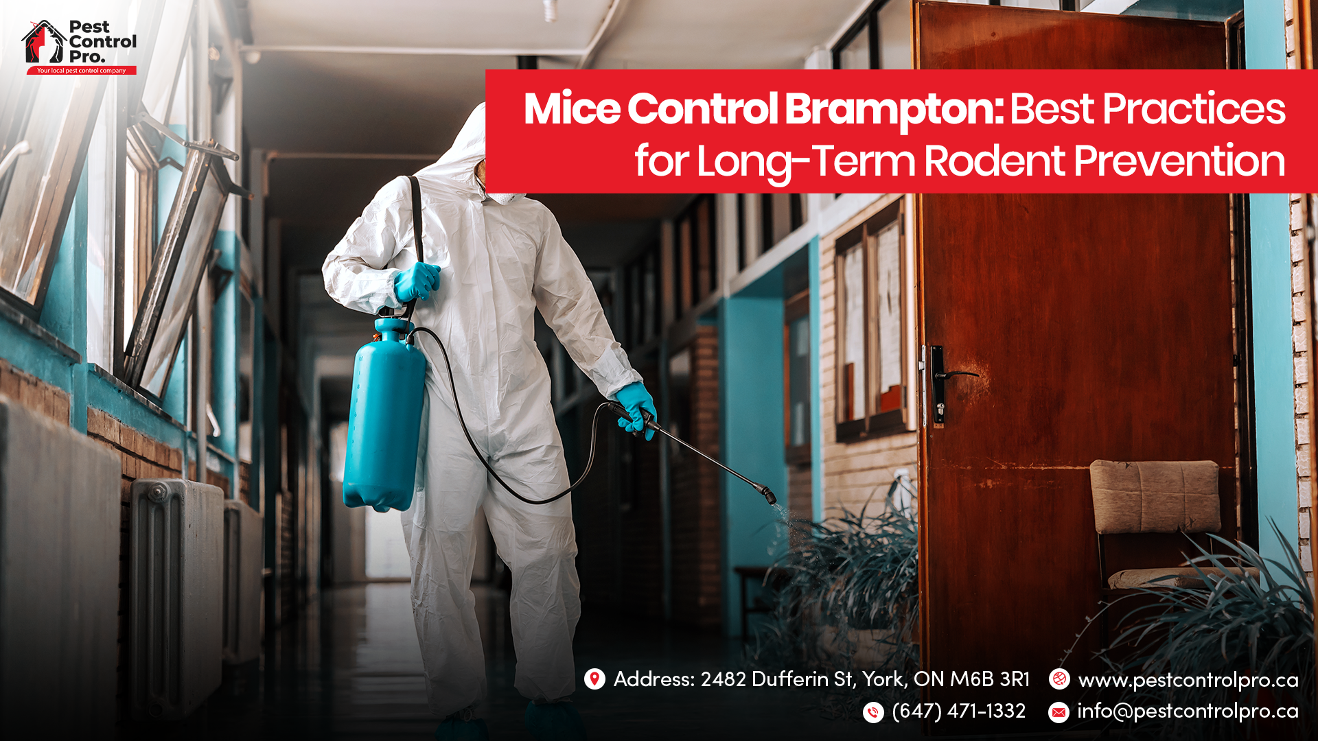 Mice Control Brampton