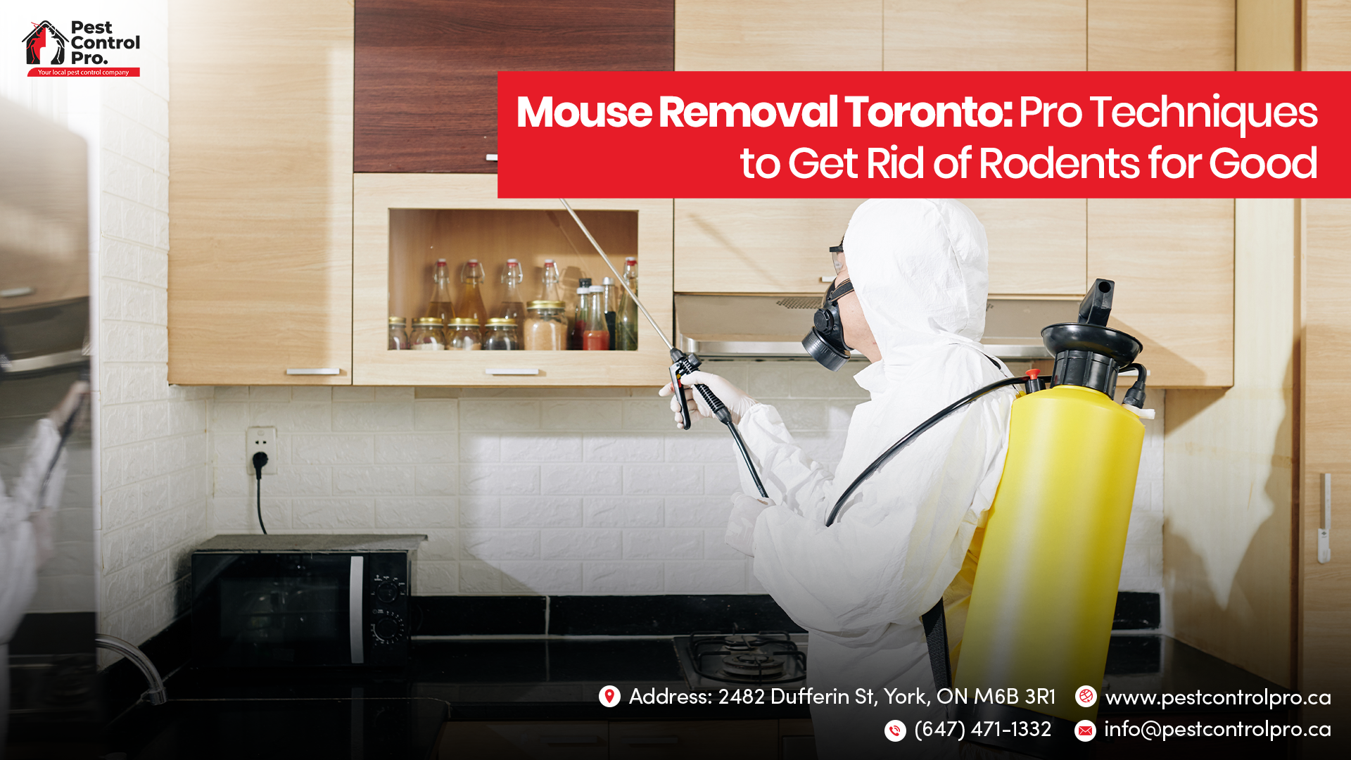 Mouse Removal Toronto