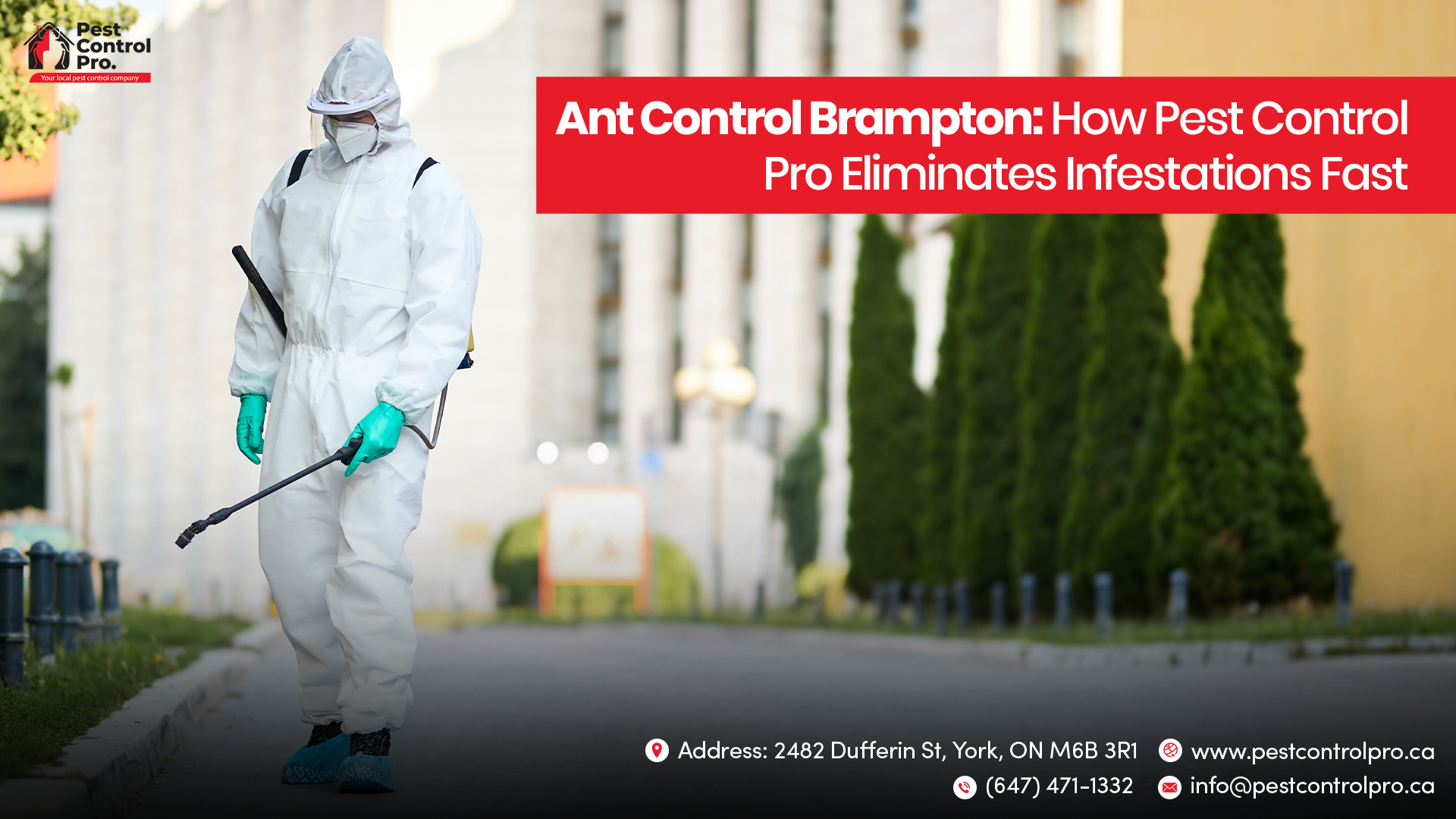 Ant Control Brampton