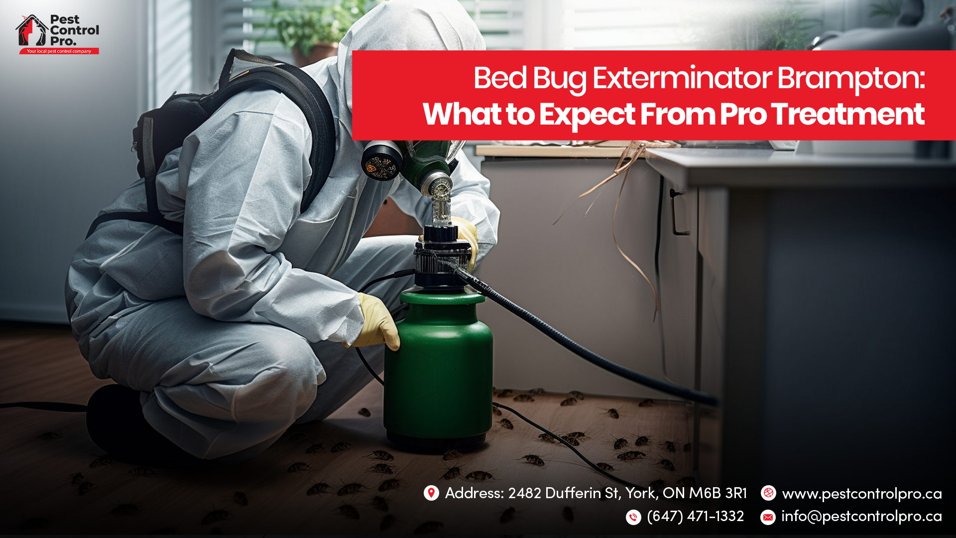 Bed Bug Exterminator Brampton