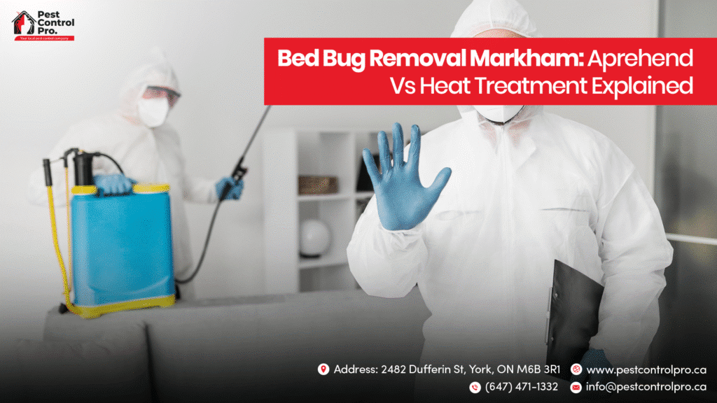 Bed Bug Removal Markham