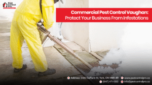 Commercial Pest Control Services at Pest Control Pro