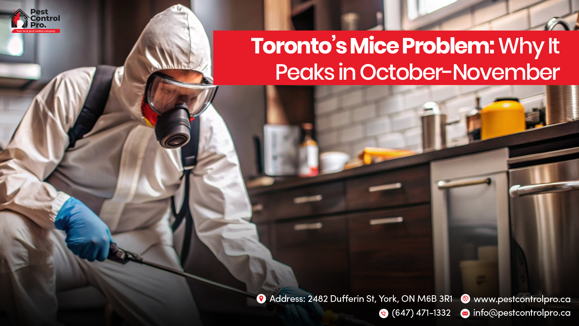 Toronto's Mice Problem