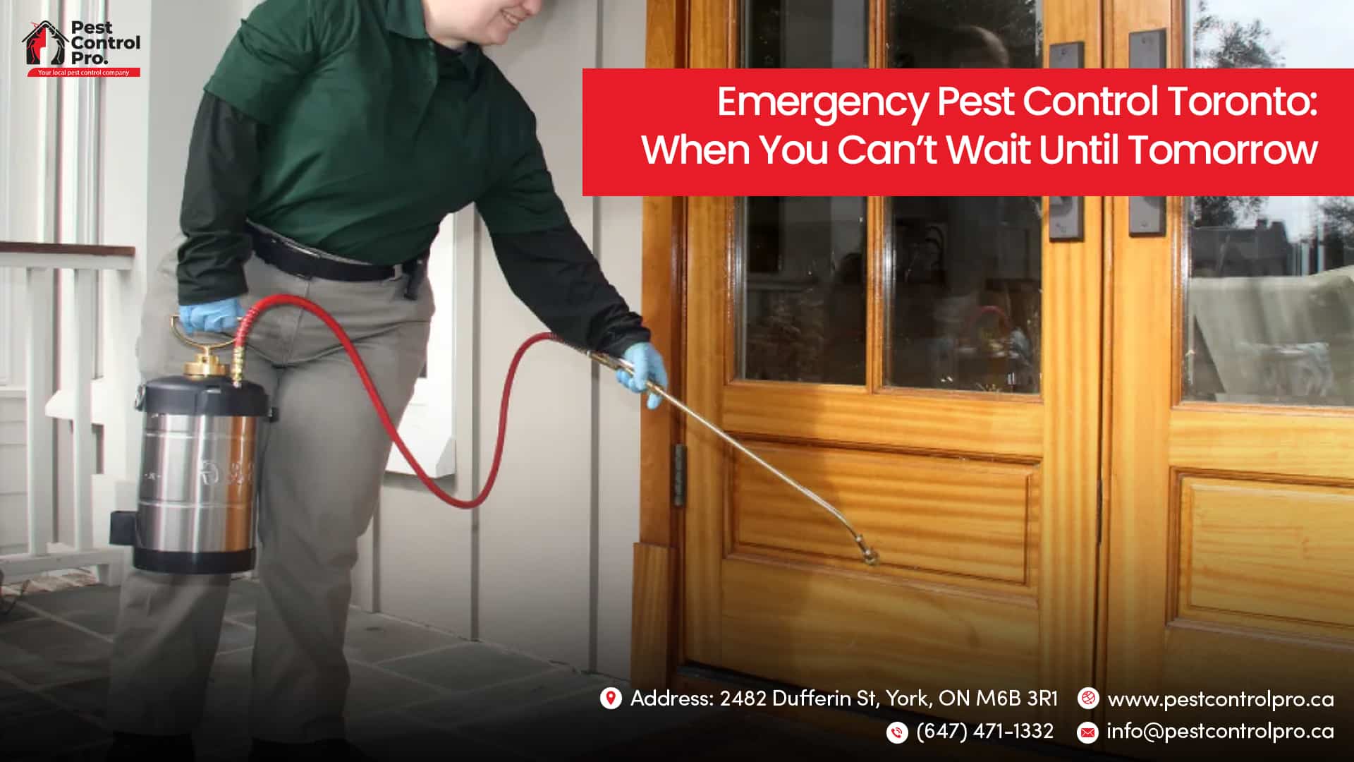 Emergency Pest Control Toronto