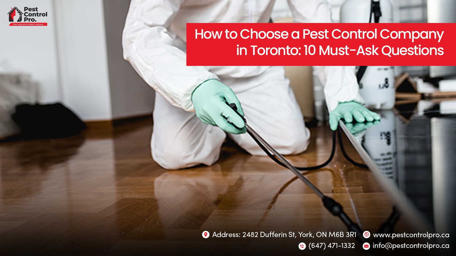 How to Choose a Pest Control Company in Toronto