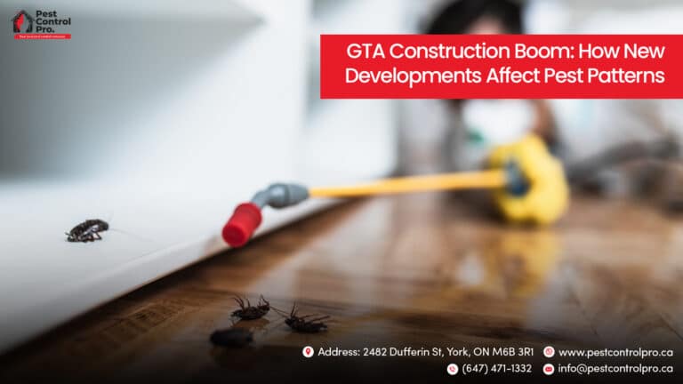 GTA Construction Boom: How New Developments Affect Pest Patterns