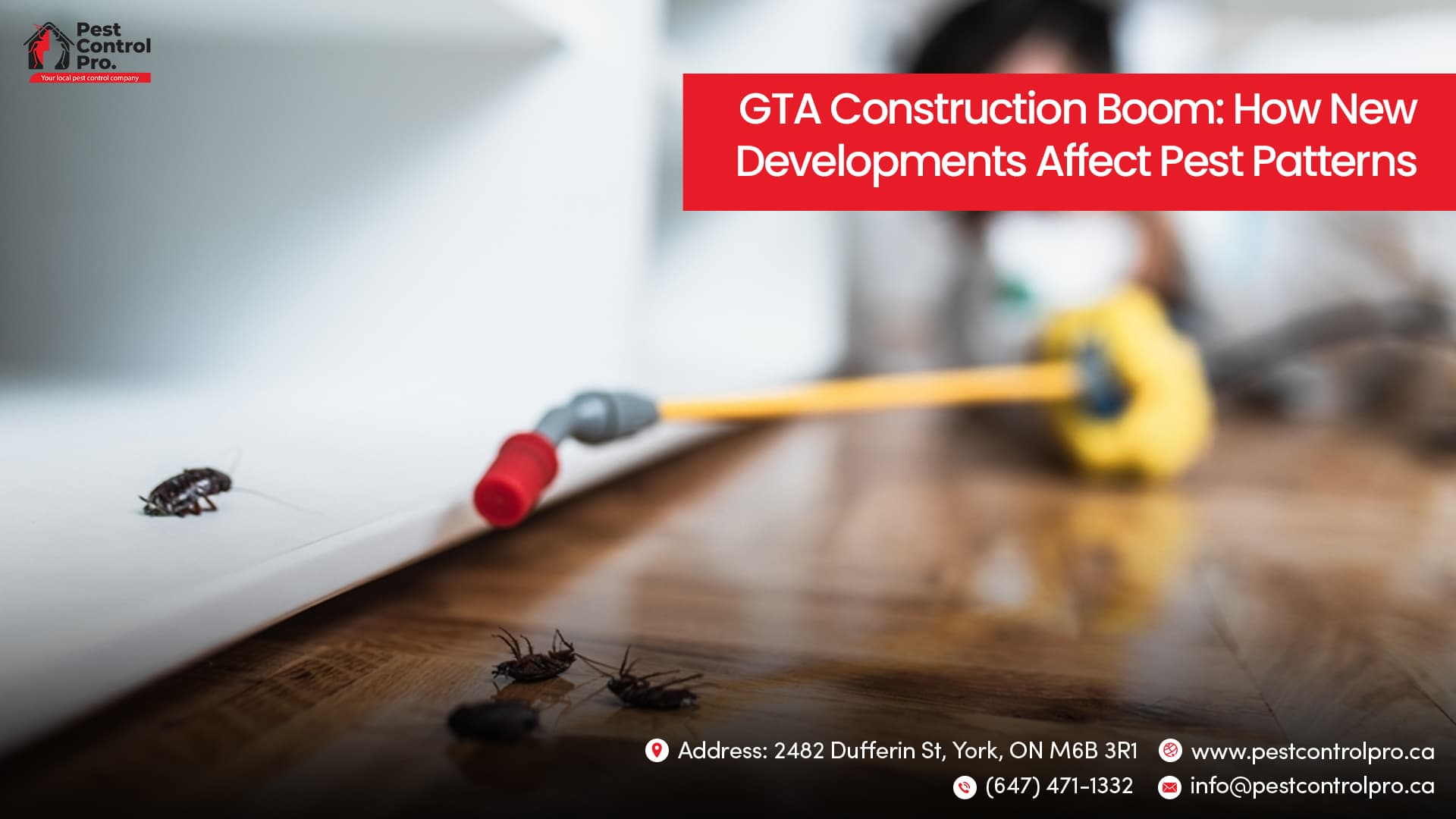 GTA Construction Boom: How New Developments Affect Pest Patterns