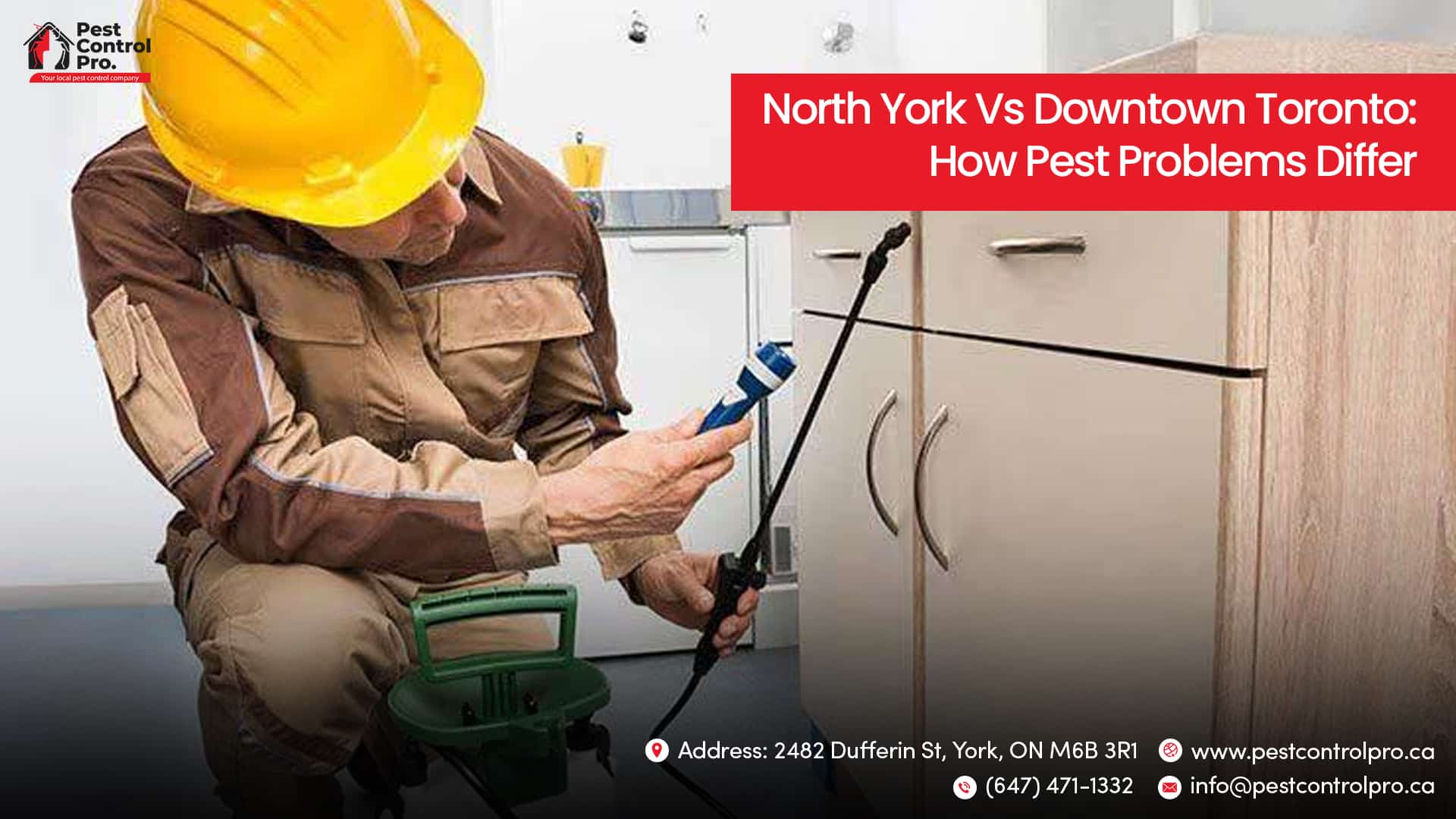 North York Vs Downtown Toronto: How Pest Problems Differ