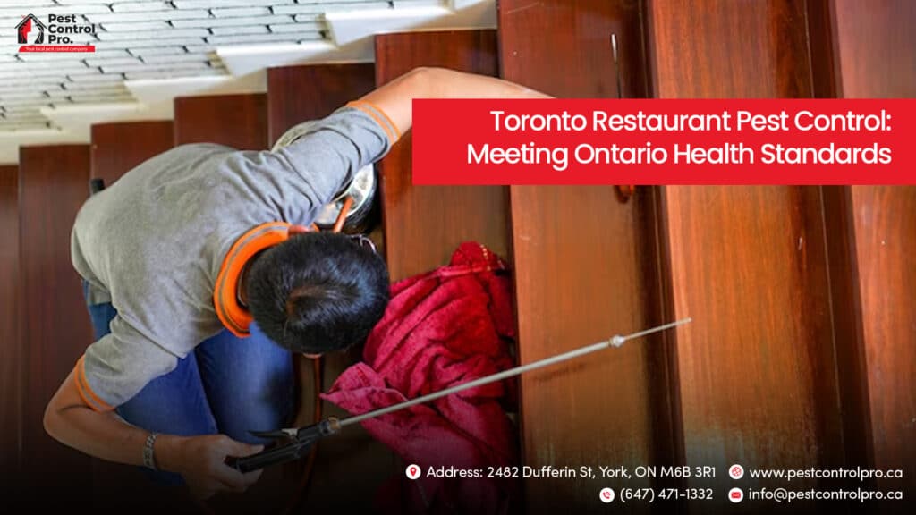 Toronto Restaurant Pest Control
