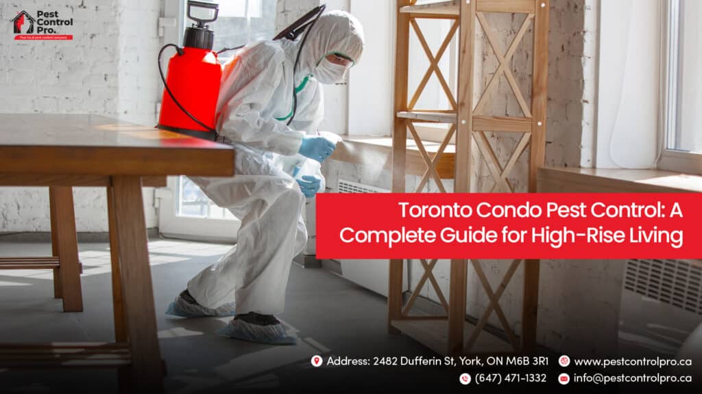 Toronto Condo Pest Control