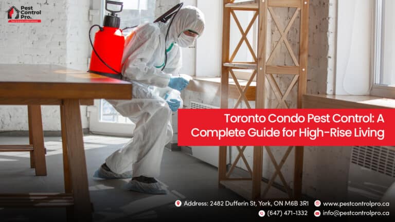 Professional Pest Control Services at Pest Control Pro