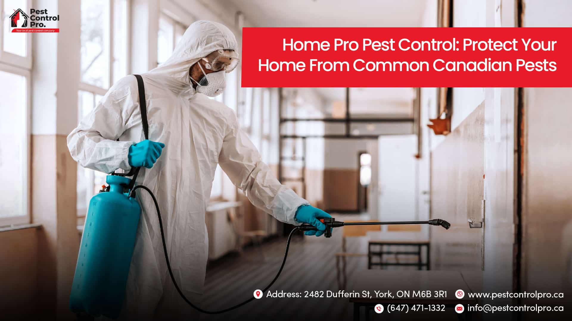 Exterminator Markham: Top-Rated Pest Control Services You Can Trust