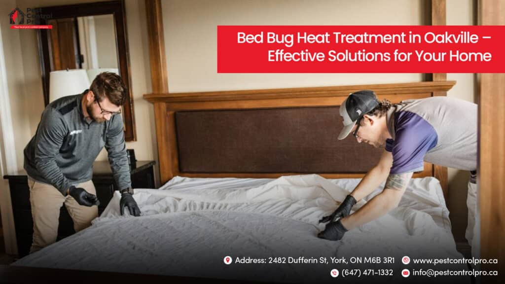Bed Bug Heat Treatment in Oakville