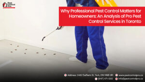 Professional Pest Control Services Toronto at Pest Control Pro