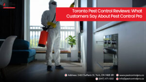 Toronto Pest Control Cost Guide 2025: Pricing, Packages & Payment Options