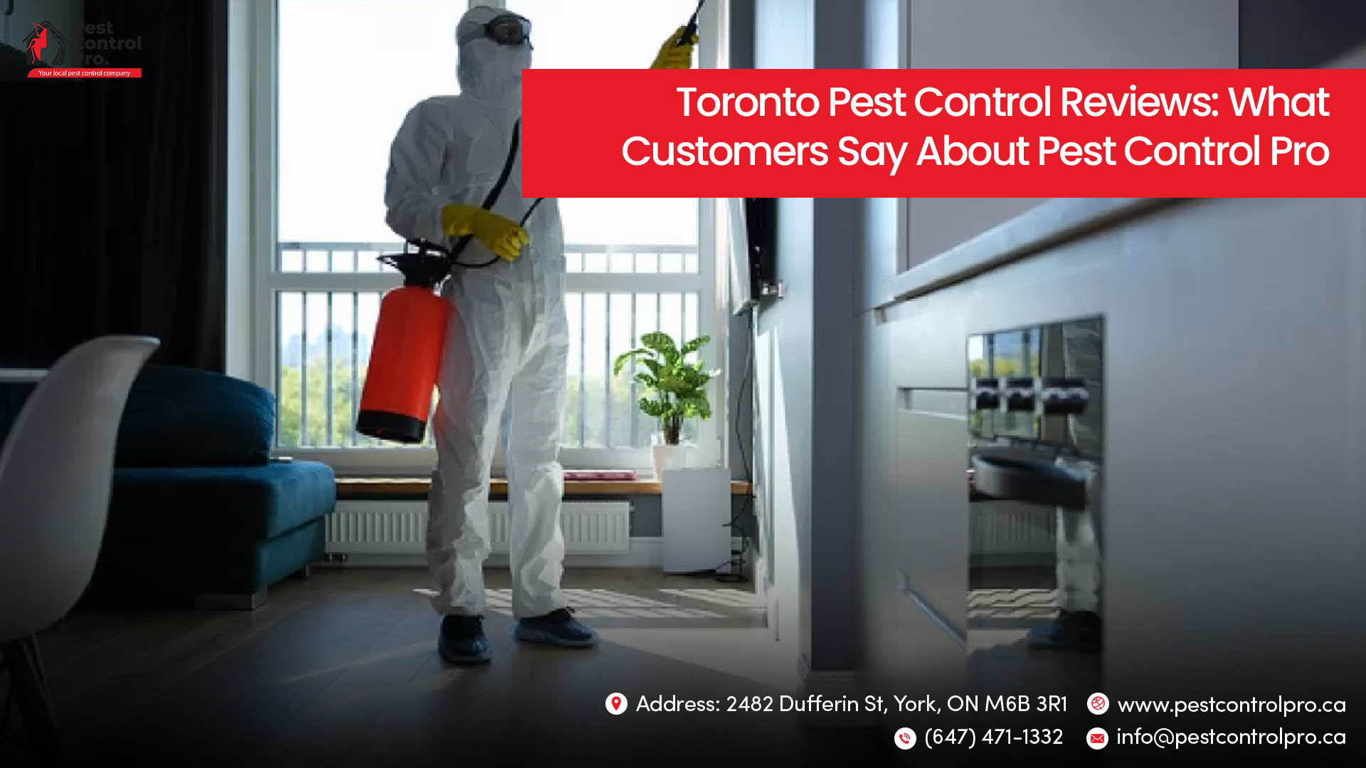 Toronto Pest Control Reviews: What Customers Say About Pest Control Pro ...