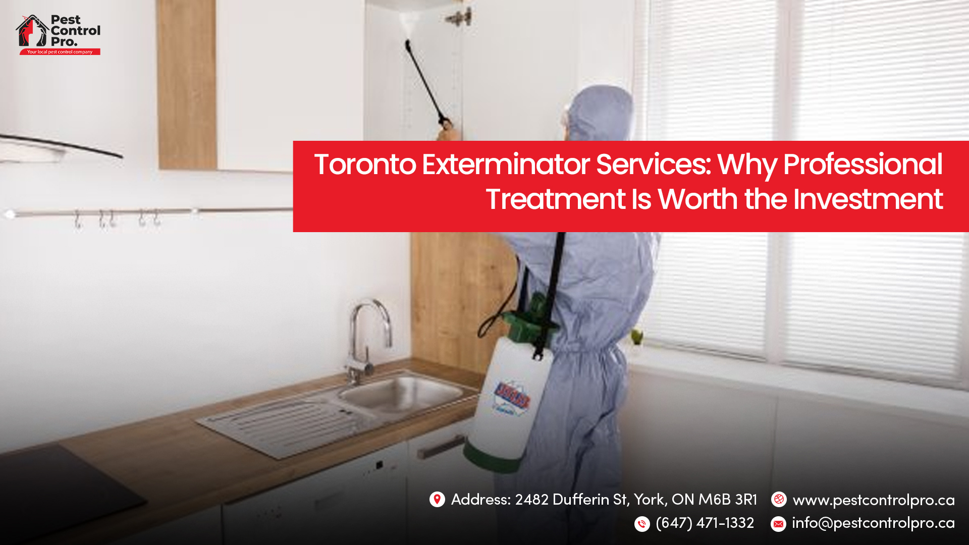 Toronto Exterminator Services: Why Professional Treatment Is Worth the Investment