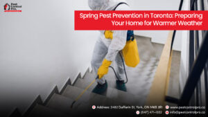 Spring Pest Prevention in Toronto: Preparing Your Home for Warmer Weather