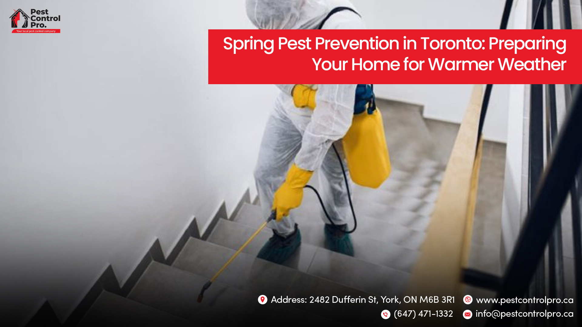 Spring Pest Prevention in Toronto: Preparing Your Home for Warmer Weather