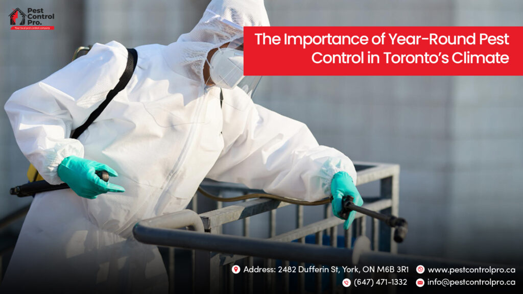 The Importance of Year-Round Pest Control Toronto’s Climate