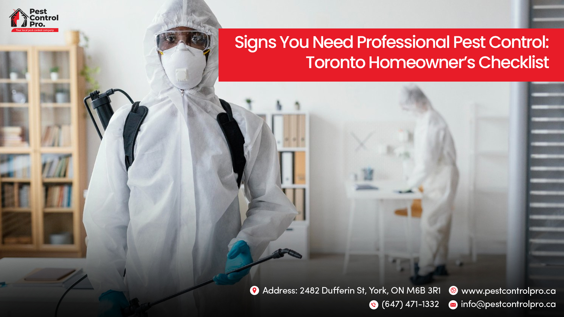 Signs You Need Professional Pest Control: Toronto Homeowner's Checklist