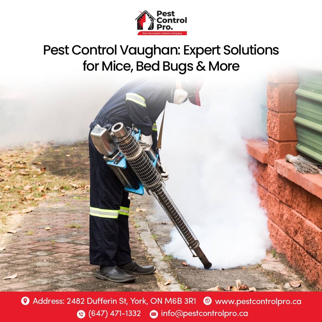 Pest Control Vaughan: Expert Solutions for Mice, Bed Bugs & More
