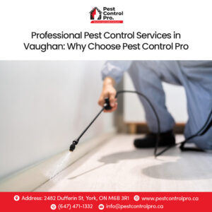 Professional Pest Control Services Toronto at Pest Control Pro