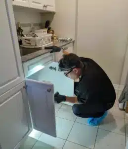 Emergency Pest Control Toronto: 24/7 Fast Response & Free Quotes