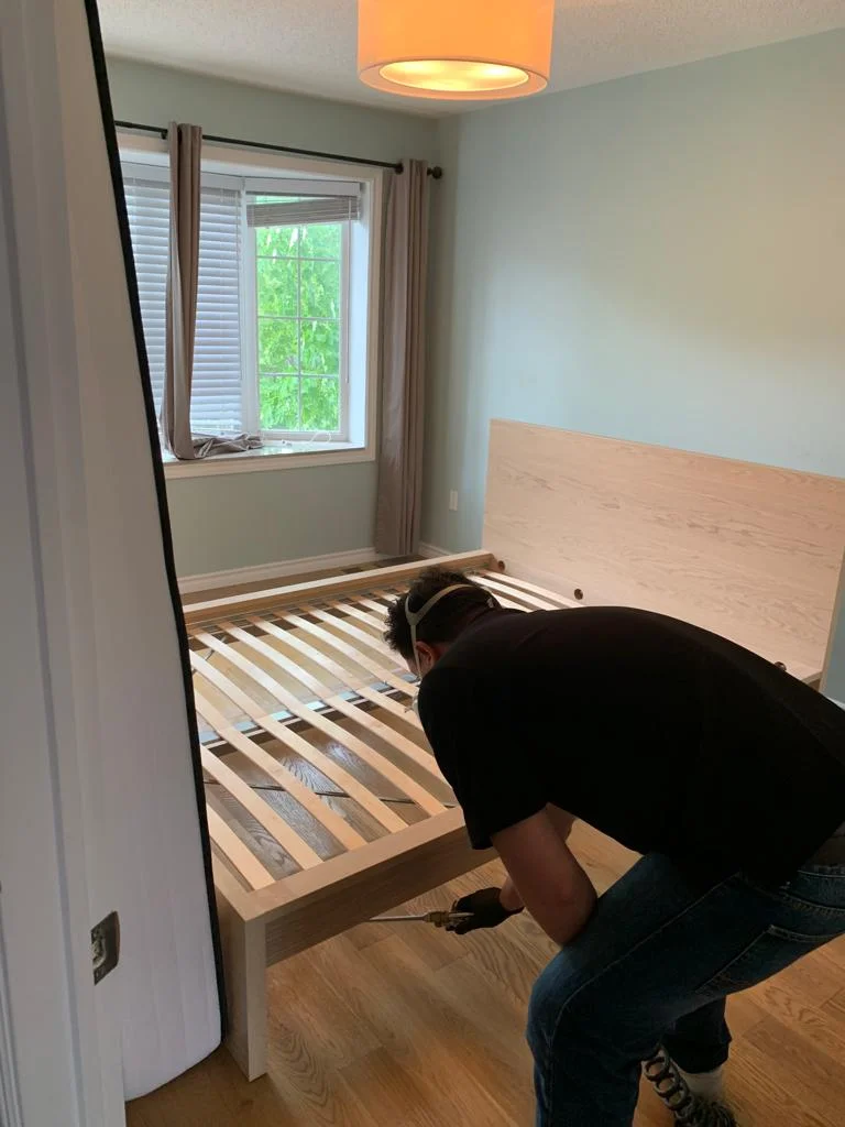 Cockroach Fumigation service at Pest Control Pro