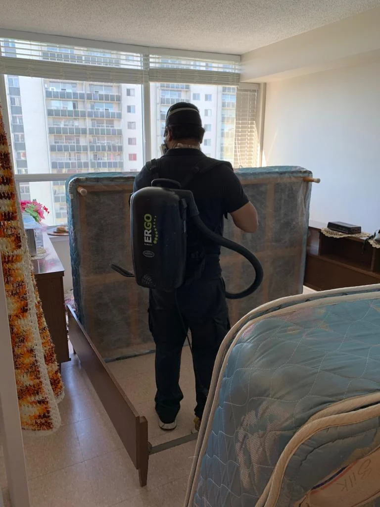 Flea Fumigation service at Pest Control Pro