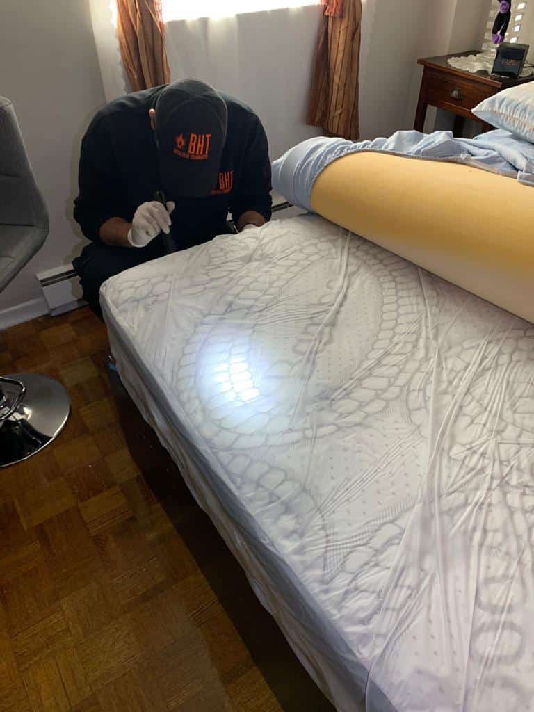 Bed Bug Exterminator at Pest Control Pro