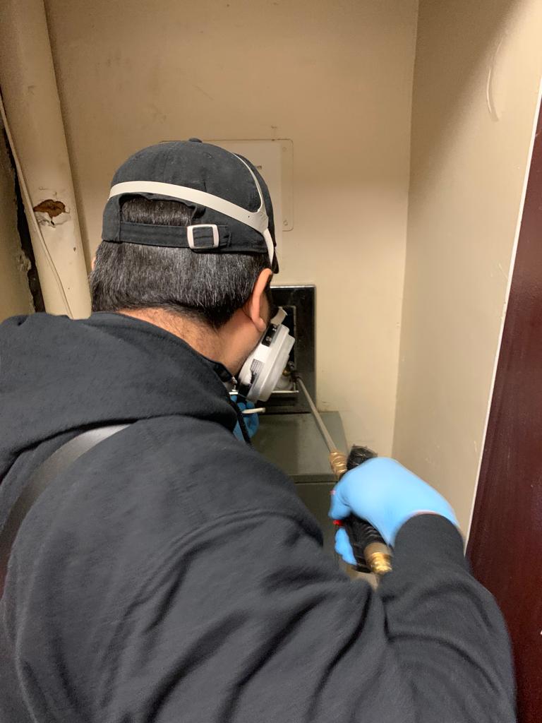 Pest Exclusion Services at Pest Conrol Pro
