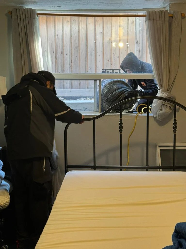 cockroach control services Toronto 