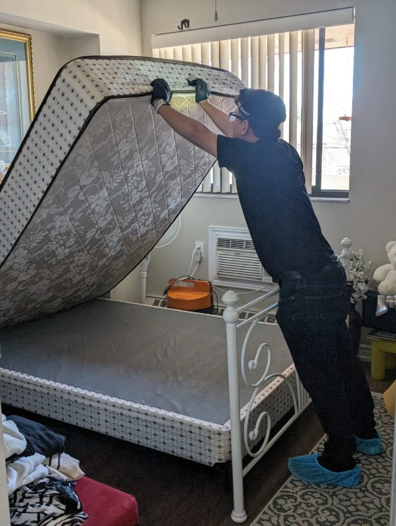 Bed Bug Exterminator Lawrence Heights at Pest Control Pro