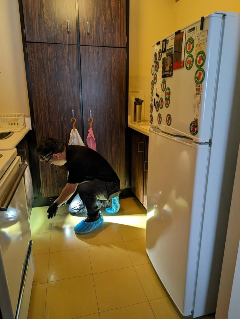 Bed Bug Inspection Lawrence Heights at Pest Control Pro