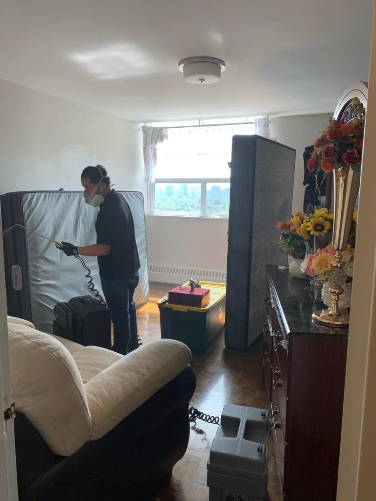 Trusted Bed Bug Heat Treatment Lawrence Heights at Pest Control Pro