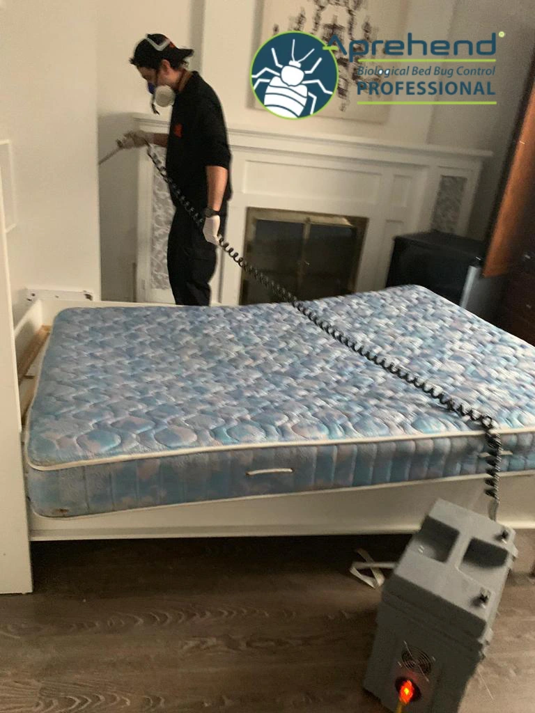Bed Bug Treatment near me North York