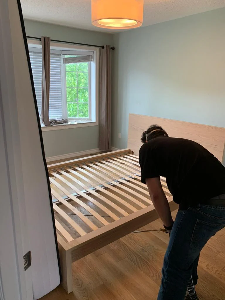 Bed Bug Control for Multi-Unit Properties in East York, ON
