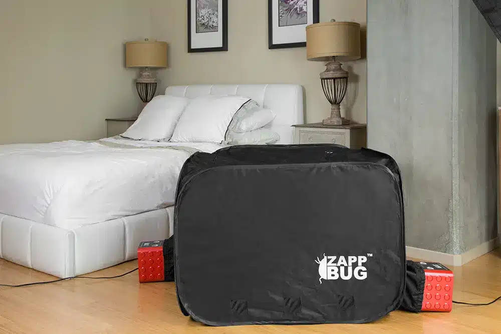 Bed Bugs Control Lawrence Heights