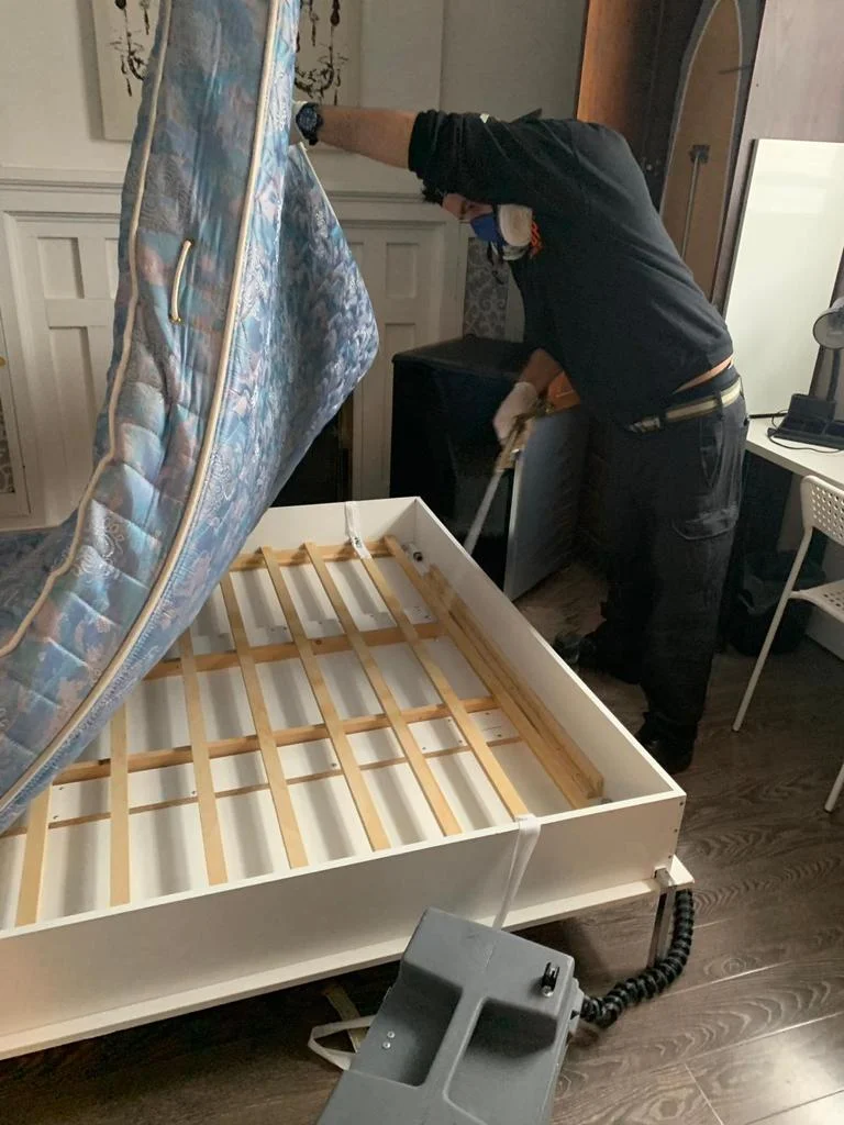 Commercial Bed Bug Control Services in Oakville
