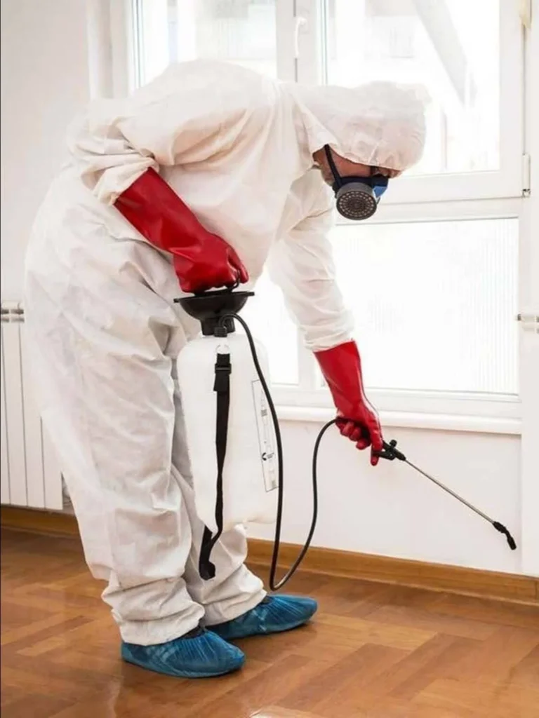 East York Properties Need a Professional Cockroach Exterminator
